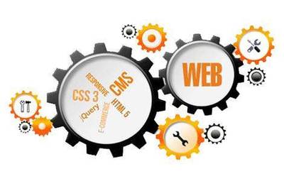 營銷型新站快速收錄與排名優化 CMS網站的簡易指南